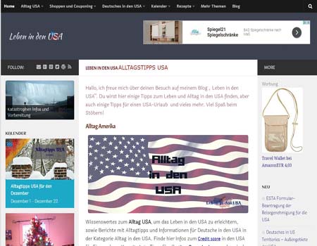 lebenindenusa.com